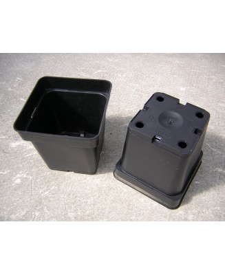 Kuentz-cactus  - Pots carrés 11 cm L x 11 cm H (Soparco) - paquet de 10