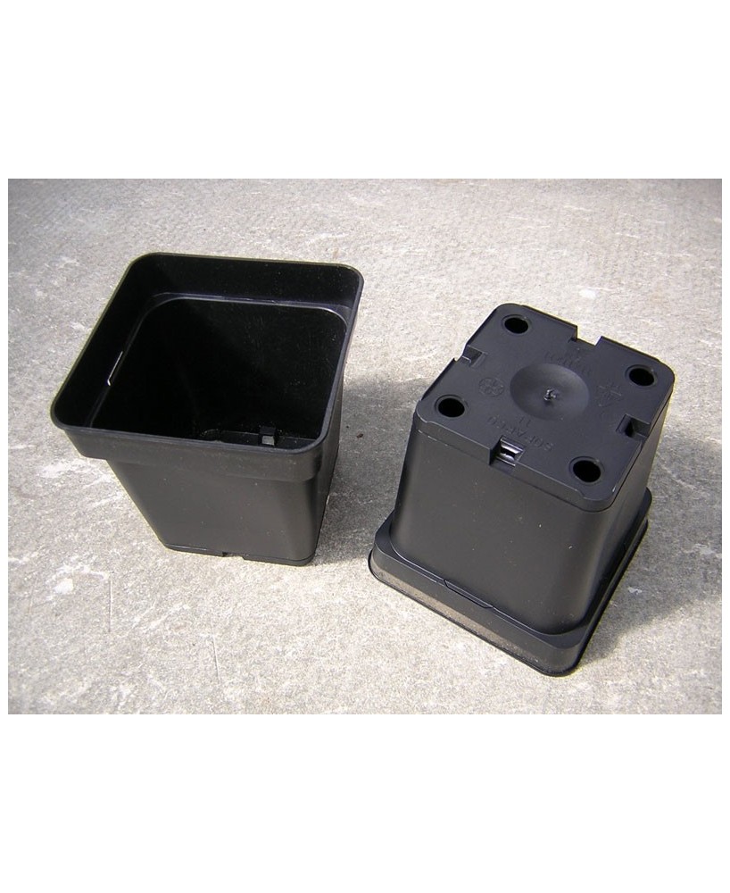 Kuentz-cactus  - Pots carrés 11 cm L x 11 cm H (Soparco) - paquet de 10