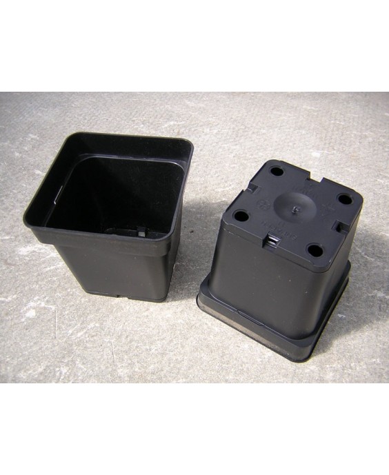 Kuentz-cactus  - Pots carrés 11 cm L x 11 cm H (Soparco) - paquet de 10