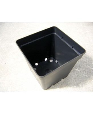 Kuentz-cactus  - Pots carrés 13 cm L x 12,5 cm H (Soparco) - paquet de 10