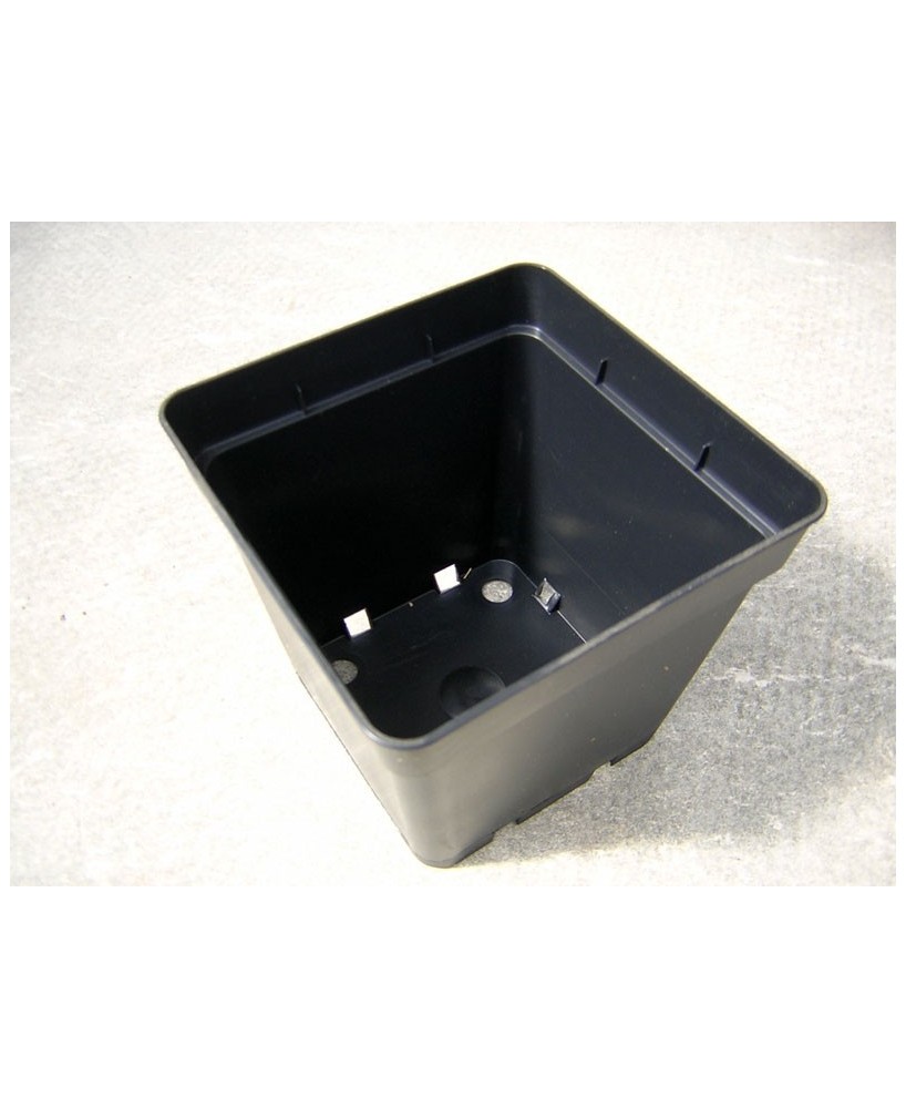 Kuentz-cactus  - Pots carrés 13 cm L x 12,5 cm H (Soparco) - paquet de 10