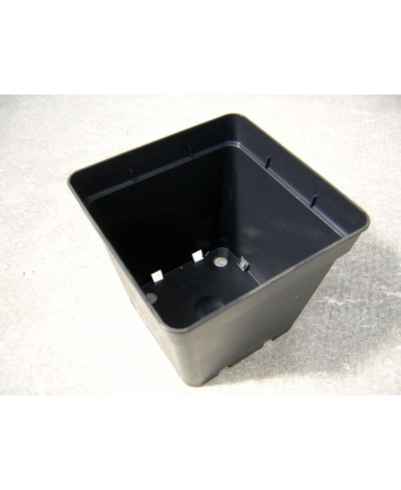 Kuentz-cactus  - Pots carrés 13 cm L x 12,5 cm H (Soparco) - paquet de 10