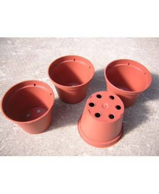 Kuentz-cactus  - Pots ronds  8 cm Ø x 6 cm H (Kuma) - paquet de 25