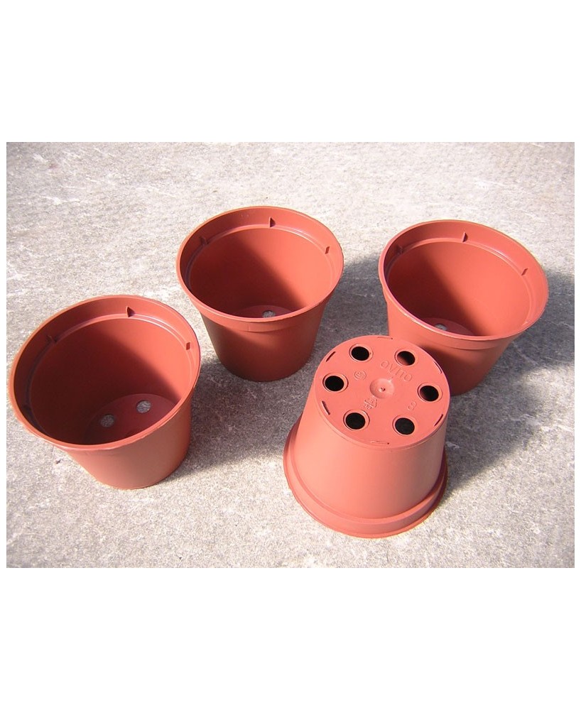 Kuentz-cactus  - Pots ronds  8 cm Ø x 6 cm H (Kuma) - paquet de 25