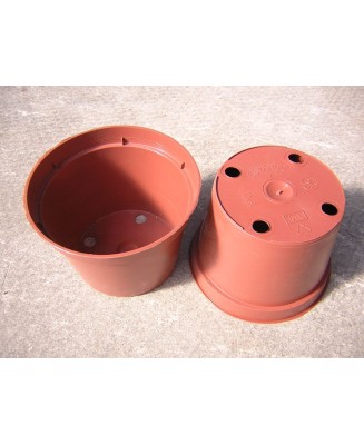 Kuentz-cactus  - Pots ronds 12 cm Ø x  9 cm H (Soparco) - paquet de 10