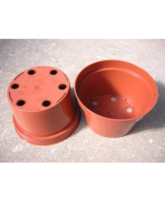 Kuentz-cactus  - Pots ronds 14 cm Ø x  8,5 cm H (Soparco) - paquet de 5
