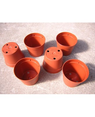 Kuentz-cactus  - Pots ronds  6,5 cm Ø x 5,5 cm H (Arca) - paquet de 100
